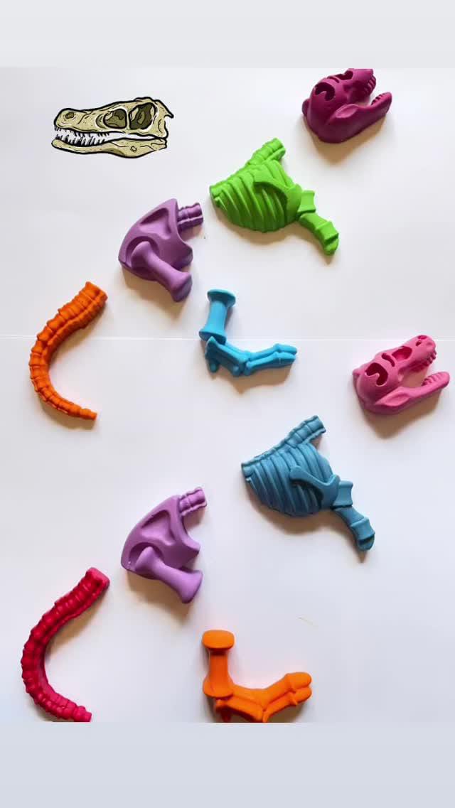 Fossil Crayon set of 2 - Kee&Ka