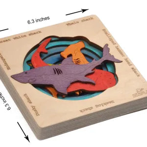 Endangered Sharks - Kee&Ka