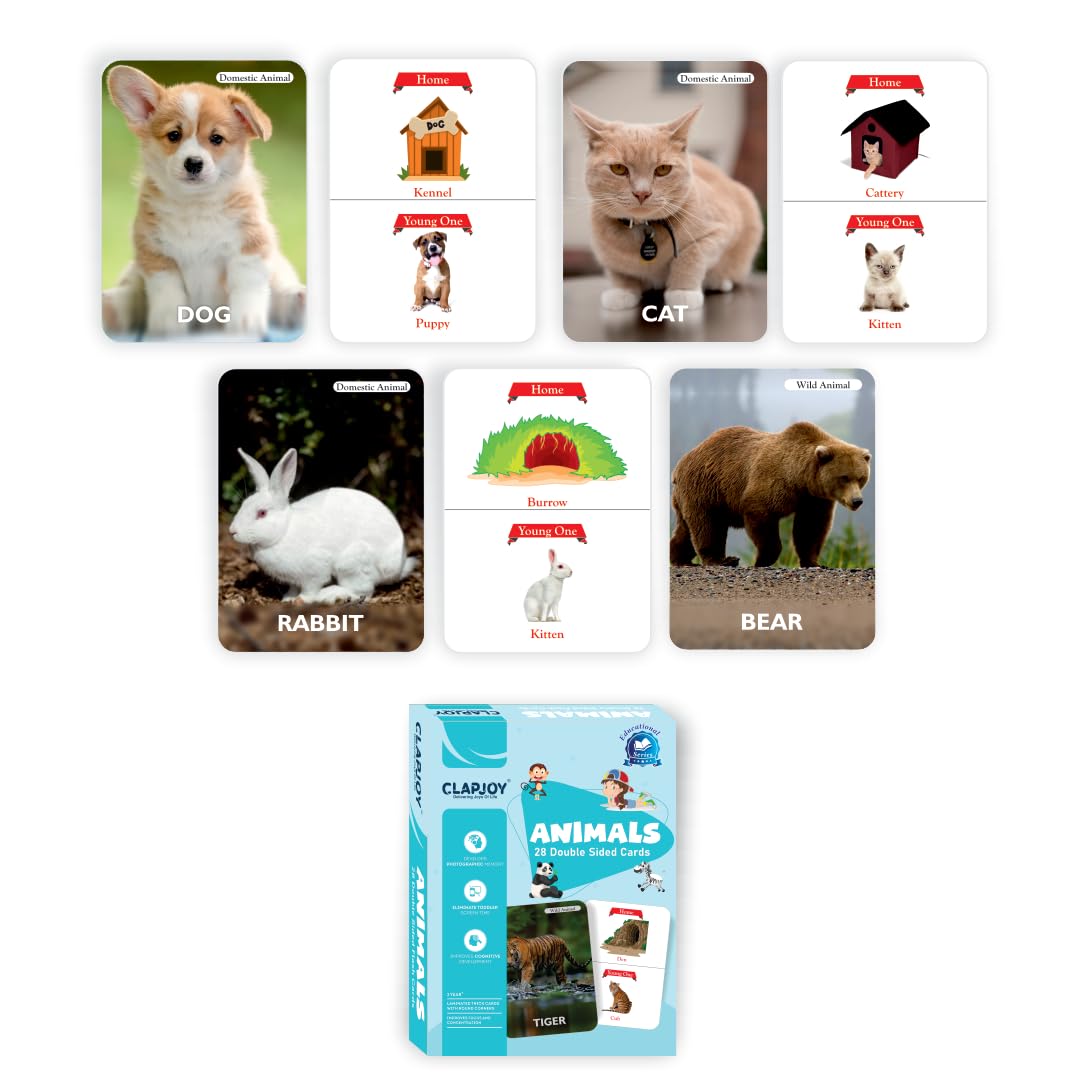 Clapjoy Animals Flash Card - Kee&Ka