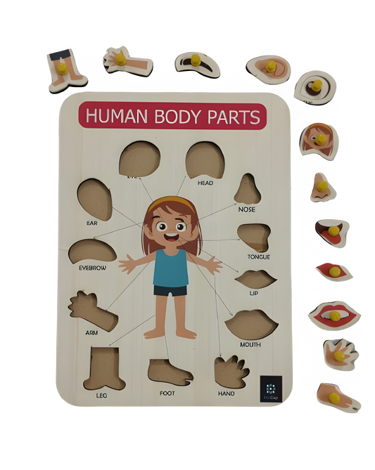 Body Parts Tray - Kee&Ka