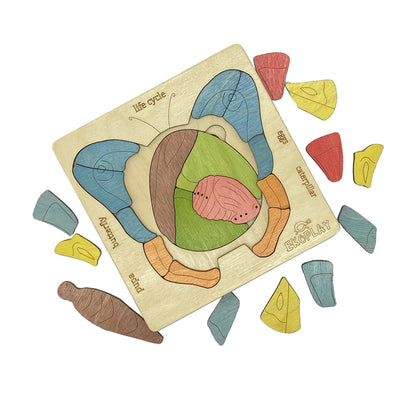 Life Cycle of a Butterfly - Kee&Ka