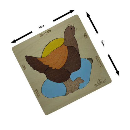 Life Cycle of a Chicken - Kee&Ka