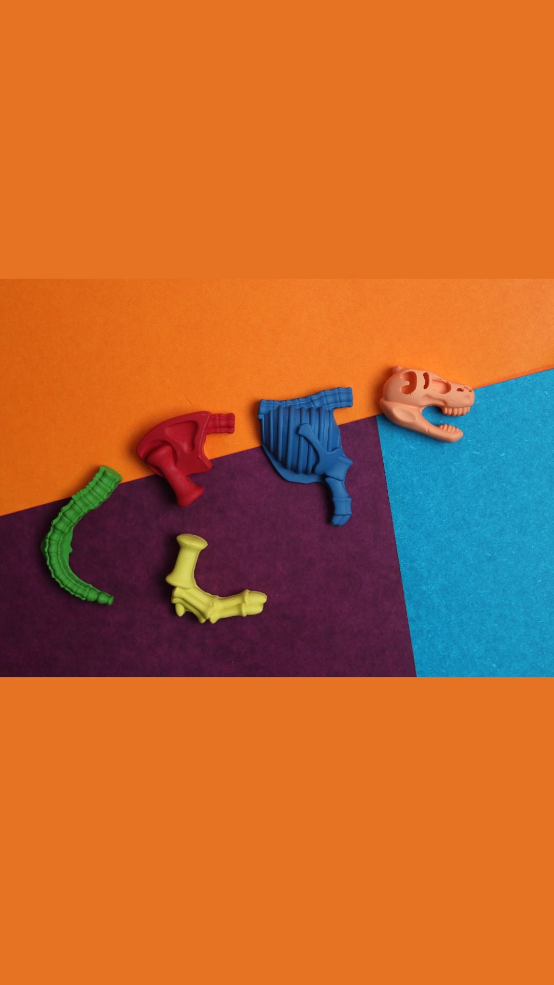 Fossil Crayon set of 2 - Kee&Ka