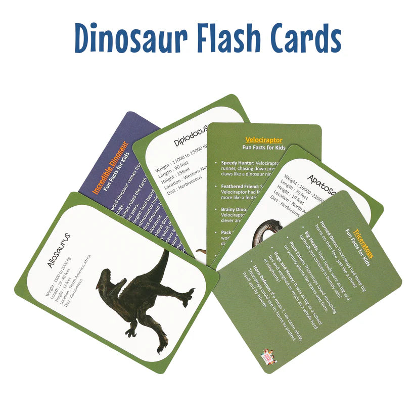 Dinosaur Flash Cards - Kee&Ka