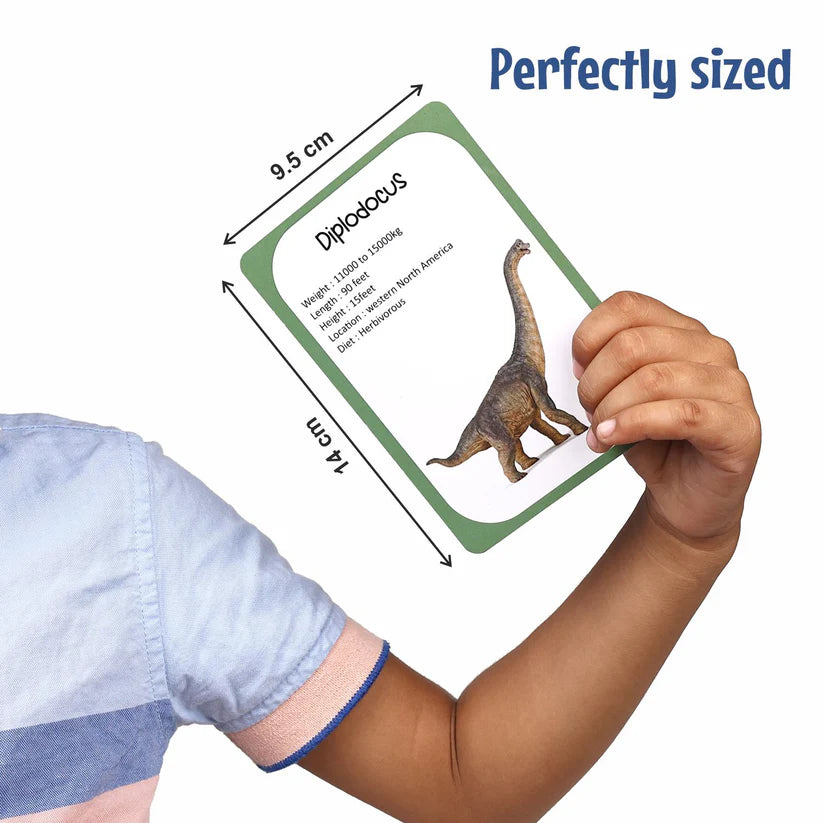 Dinosaur Flash Cards - Kee&Ka