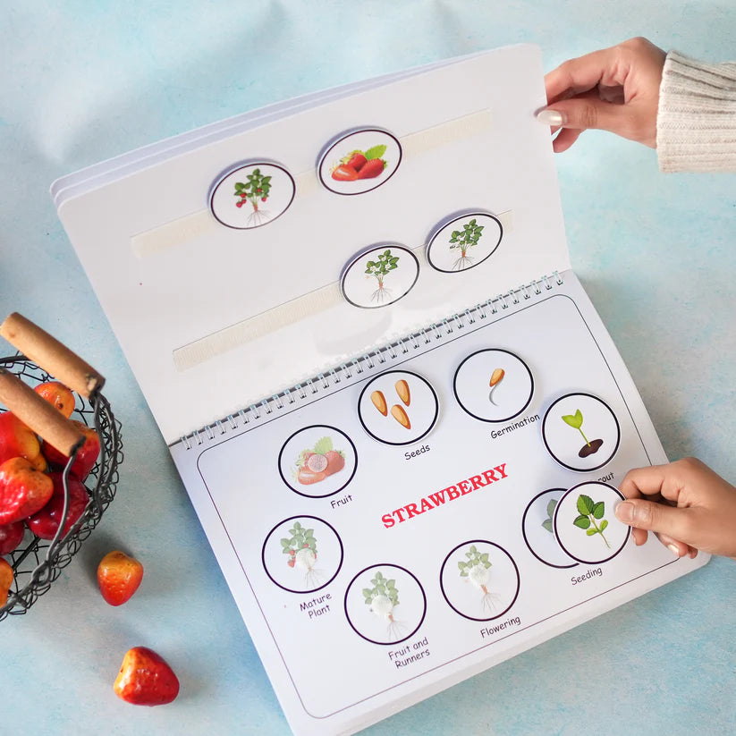 Life Cycle Binder (Ages 3 to 6years) - Kee&Ka