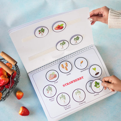 Life Cycle Binder (Ages 3 to 6years) - Kee&Ka