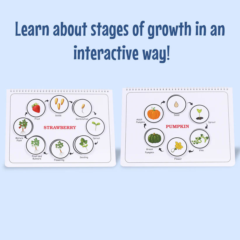 Life Cycle Binder (Ages 3 to 6years) - Kee&Ka